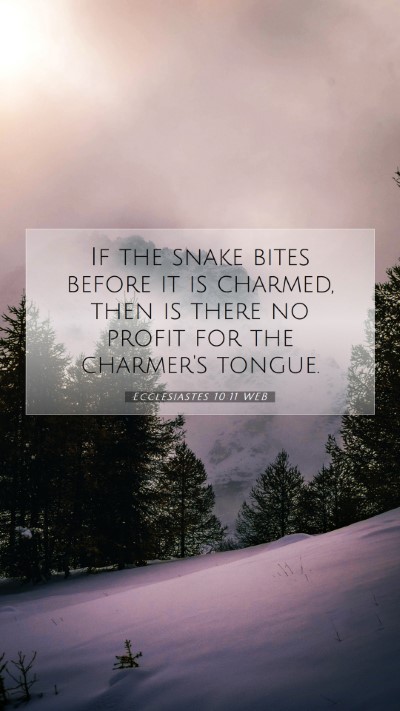Picture 07 - Ecclesiastes 10:11 WEB Mobile Phone Wallpaper - If the snake bites before it is charmed, then is - Mobile Bible Verse Wallpaper