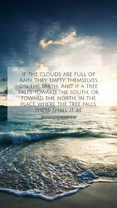 Picture 07 - Ecclesiastes 11:3 WEB Mobile Phone Wallpaper - If the clouds are full of rain, they empty - Mobile Bible Verse Wallpaper