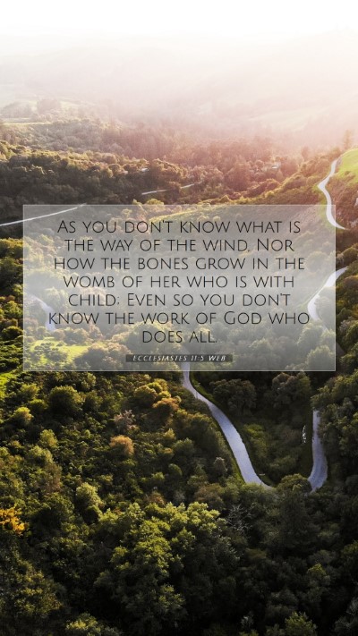 Picture 07 - Ecclesiastes 11:5 WEB Mobile Phone Wallpaper - As you don't know what is the way of the wind, - Mobile Bible Verse Wallpaper