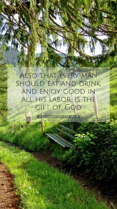 Picture 07 - Ecclesiastes 3:13 WEB Mobile Phone Wallpaper - Also that every man should eat and drink, and - Mobile Bible Verse Wallpaper