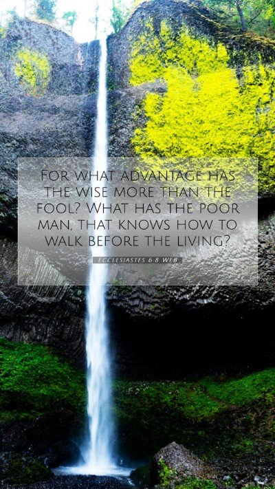 Picture 07 - Ecclesiastes 6:8 WEB Mobile Phone Wallpaper - For what advantage has the wise more than the - Mobile Bible Verse Wallpaper