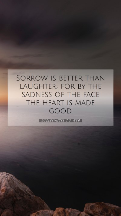 Picture 07 - Ecclesiastes 7:3 WEB Mobile Phone Wallpaper - Sorrow is better than laughter; for by the - Mobile Bible Verse Wallpaper