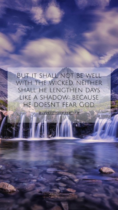 Picture 07 - Ecclesiastes 8:13 WEB Mobile Phone Wallpaper - But it shall not be well with the wicked, neither - Mobile Bible Verse Wallpaper