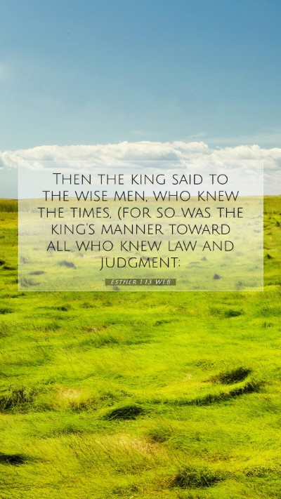 Picture 07 - Esther 1:13 WEB Mobile Phone Wallpaper - Then the king said to the wise men, who knew the - Mobile Bible Verse Wallpaper