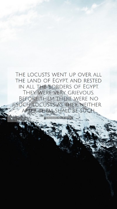 Picture 07 - Exodus 10:14 WEB Mobile Phone Wallpaper - The locusts went up over all the land of Egypt, - Mobile Bible Verse Wallpaper