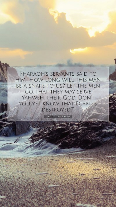 Picture 07 - Exodus 10:7 WEB Mobile Phone Wallpaper - Pharaoh's servants said to him, 
