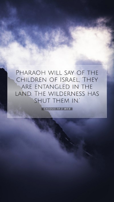 Picture 07 - Exodus 14:3 WEB Mobile Phone Wallpaper - Pharaoh will say of the children of Israel, 'They - Mobile Bible Verse Wallpaper