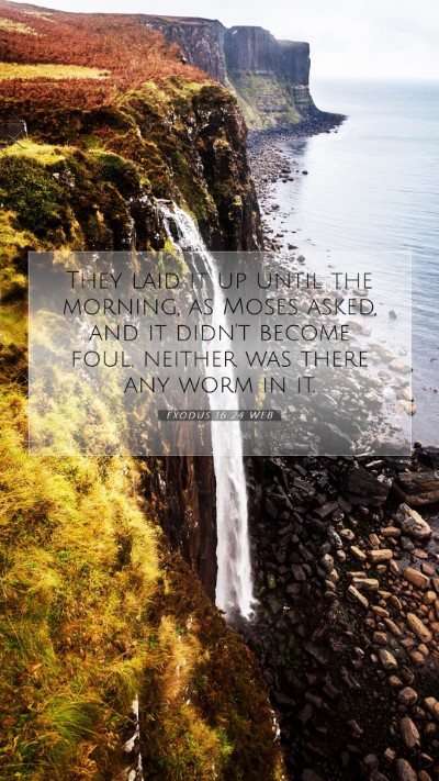 Picture 07 - Exodus 16:24 WEB Mobile Phone Wallpaper - They laid it up until the morning, as Moses - Mobile Bible Verse Wallpaper