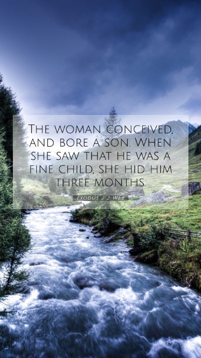 Picture 07 - Exodus 2:2 WEB Mobile Phone Wallpaper - The woman conceived, and bore a son. When she saw - Mobile Bible Verse Wallpaper