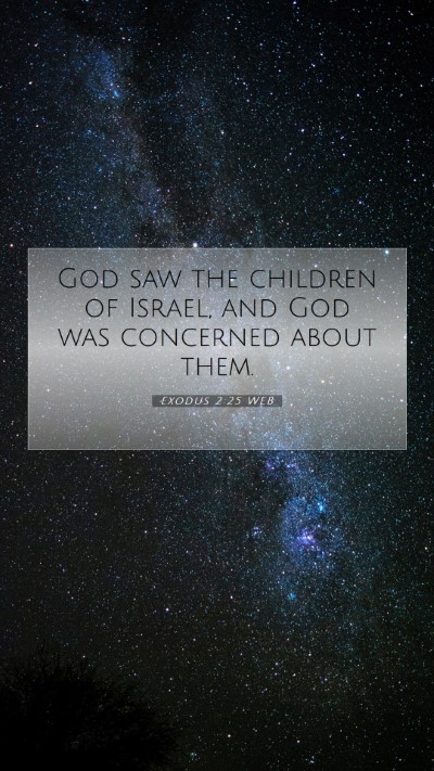 Picture 07 - Exodus 2:25 WEB Mobile Phone Wallpaper - God saw the children of Israel, and God was - Mobile Bible Verse Wallpaper