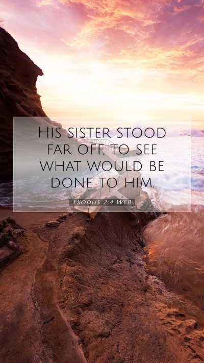 Picture 07 - Exodus 2:4 WEB Mobile Phone Wallpaper - His sister stood far off, to see what would be - Mobile Bible Verse Wallpaper
