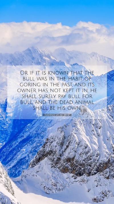 Picture 07 - Exodus 21:36 WEB Mobile Phone Wallpaper - Or if it is known that the bull was in the habit - Mobile Bible Verse Wallpaper