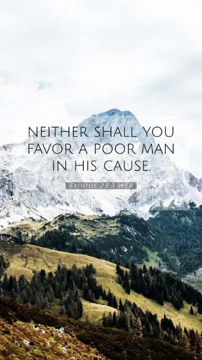 Picture 07 - Exodus 23:3 WEB Mobile Phone Wallpaper - neither shall you favor a poor man in his - Mobile Bible Verse Wallpaper