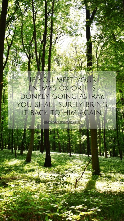 Picture 07 - Exodus 23:4 WEB Mobile Phone Wallpaper - 