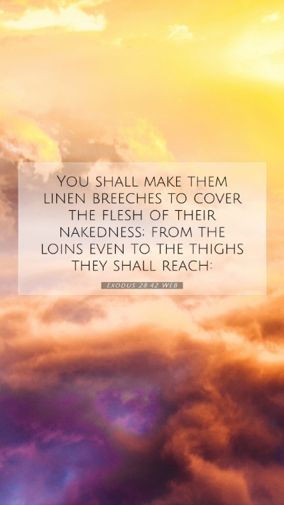 Picture 07 - Exodus 28:42 WEB Mobile Phone Wallpaper - You shall make them linen breeches to cover the - Mobile Bible Verse Wallpaper