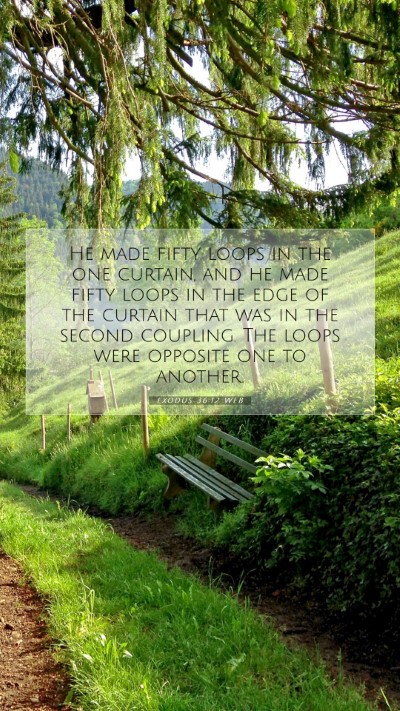 Picture 07 - Exodus 36:12 WEB Mobile Phone Wallpaper - He made fifty loops in the one curtain, and he - Mobile Bible Verse Wallpaper