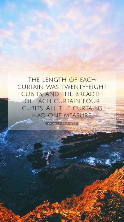 Picture 07 - Exodus 36:9 WEB Mobile Phone Wallpaper - The length of each curtain was twenty-eight - Mobile Bible Verse Wallpaper