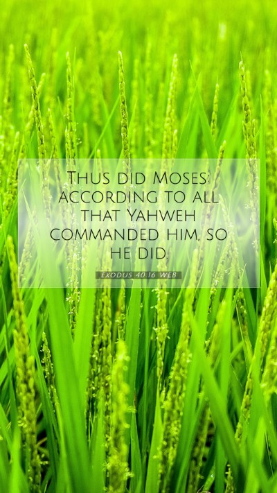 Picture 07 - Exodus 40:16 WEB Mobile Phone Wallpaper - Thus did Moses: according to all that Yahweh - Mobile Bible Verse Wallpaper