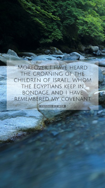 Picture 07 - Exodus 6:5 WEB Mobile Phone Wallpaper - Moreover I have heard the groaning of the - Mobile Bible Verse Wallpaper