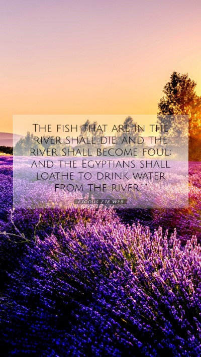 Picture 07 - Exodus 7:18 WEB Mobile Phone Wallpaper - The fish that are in the river shall die, and the - Mobile Bible Verse Wallpaper