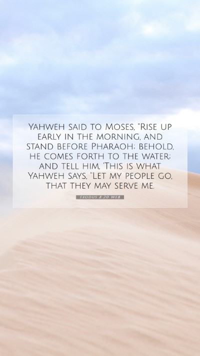 Picture 07 - Exodus 8:20 WEB Mobile Phone Wallpaper - Yahweh said to Moses, 