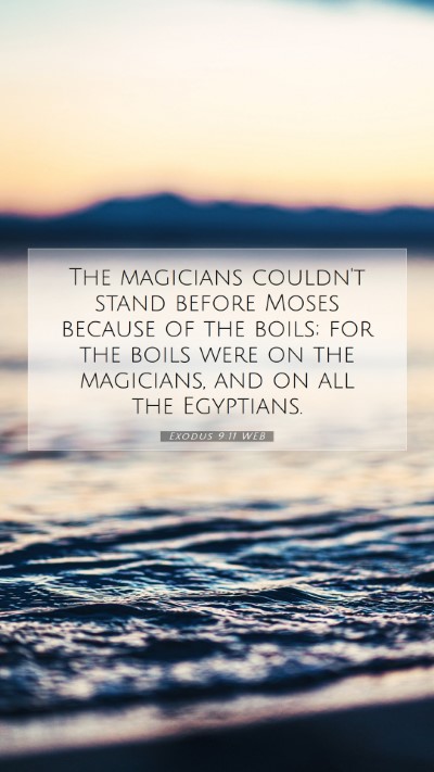 Picture 07 - Exodus 9:11 WEB Mobile Phone Wallpaper - The magicians couldn't stand before Moses because - Mobile Bible Verse Wallpaper