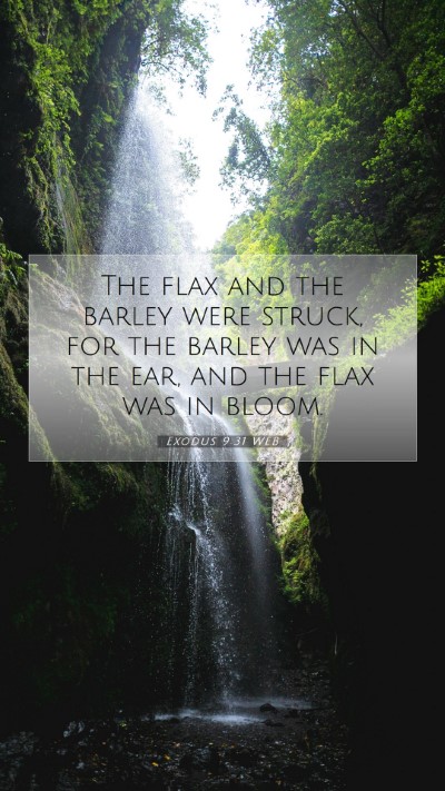 Picture 07 - Exodus 9:31 WEB Mobile Phone Wallpaper - The flax and the barley were struck, for the - Mobile Bible Verse Wallpaper