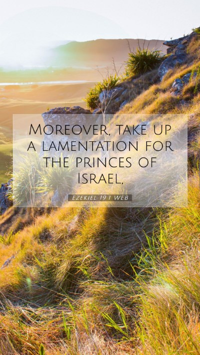 Picture 07 - Ezekiel 19:1 WEB Mobile Phone Wallpaper - Moreover, take up a lamentation for the princes - Mobile Bible Verse Wallpaper