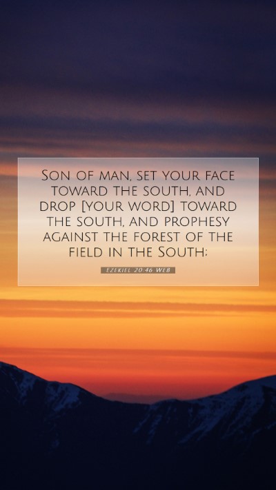 Picture 07 - Ezekiel 20:46 WEB Mobile Phone Wallpaper - Son of man, set your face toward the south, and - Mobile Bible Verse Wallpaper