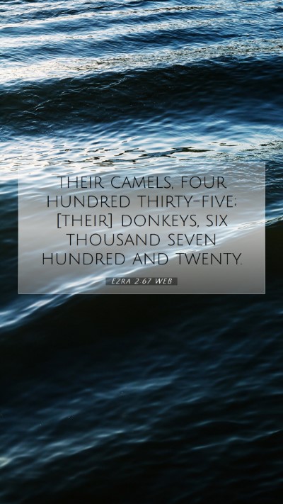 Picture 07 - Ezra 2:67 WEB Mobile Phone Wallpaper - their camels, four hundred thirty-five; [their] - Mobile Bible Verse Wallpaper