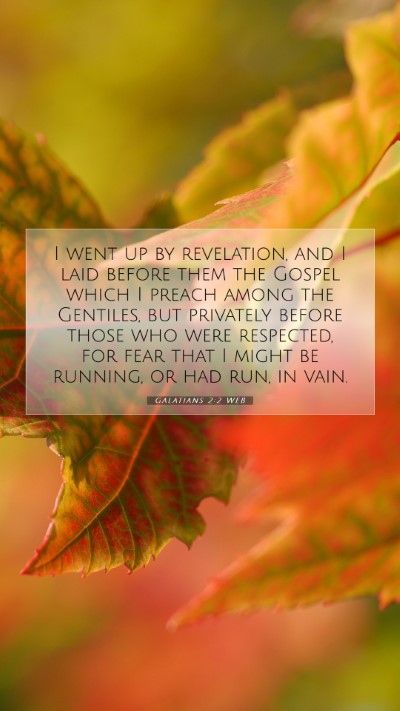 Picture 07 - Galatians 2:2 WEB Mobile Phone Wallpaper - I went up by revelation, and I laid before them - Mobile Bible Verse Wallpaper