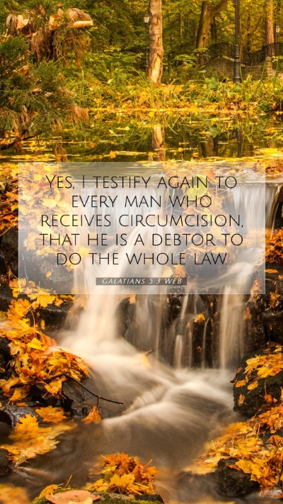Picture 07 - Galatians 5:3 WEB Mobile Phone Wallpaper - Yes, I testify again to every man who receives - Mobile Bible Verse Wallpaper