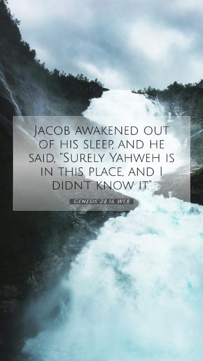 Picture 07 - Genesis 28:16 WEB Mobile Phone Wallpaper - Jacob awakened out of his sleep, and he said, - Mobile Bible Verse Wallpaper