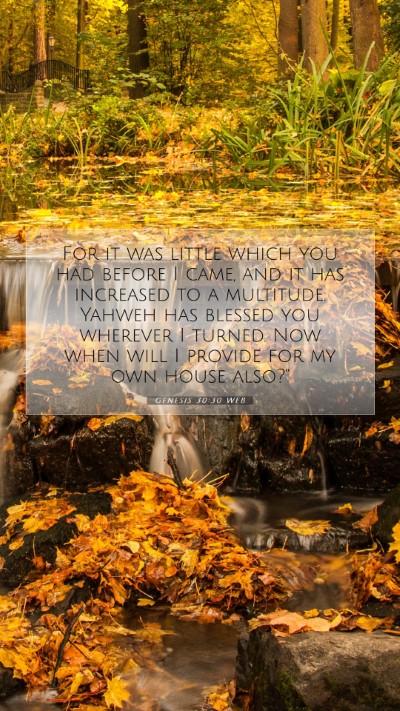 Picture 07 - Genesis 30:30 WEB Mobile Phone Wallpaper - For it was little which you had before I came, - Mobile Bible Verse Wallpaper