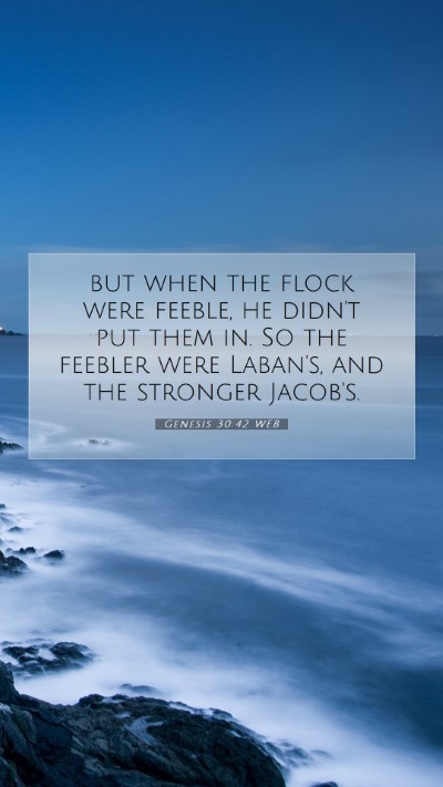 Picture 07 - Genesis 30:42 WEB Mobile Phone Wallpaper - but when the flock were feeble, he didn't put - Mobile Bible Verse Wallpaper