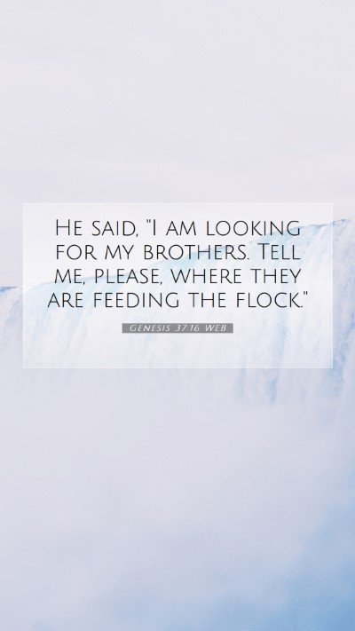 Picture 07 - Genesis 37:16 WEB Mobile Phone Wallpaper - He said, 