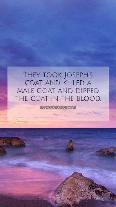 Picture 07 - Genesis 37:31 WEB Mobile Phone Wallpaper - They took Joseph's coat, and killed a male goat, - Mobile Bible Verse Wallpaper