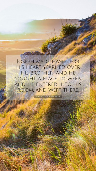 Picture 07 - Genesis 43:30 WEB Mobile Phone Wallpaper - Joseph made haste; for his heart yearned over his - Mobile Bible Verse Wallpaper