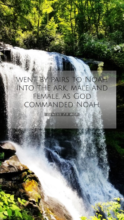 Picture 07 - Genesis 7:9 WEB Mobile Phone Wallpaper - went by pairs to Noah into the ark, male and - Mobile Bible Verse Wallpaper