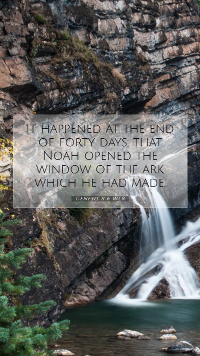 Picture 07 - Genesis 8:6 WEB Mobile Phone Wallpaper - It happened at the end of forty days, that Noah - Mobile Bible Verse Wallpaper