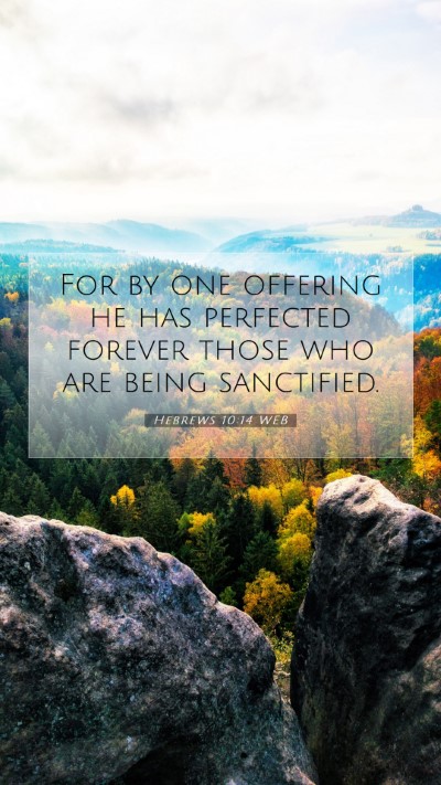 Picture 07 - Hebrews 10:14 WEB Mobile Phone Wallpaper - For by one offering he has perfected forever - Mobile Bible Verse Wallpaper