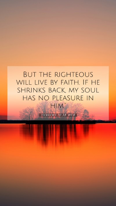 Picture 07 - Hebrews 10:38 WEB Mobile Phone Wallpaper - But the righteous will live by faith. If he - Mobile Bible Verse Wallpaper