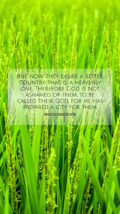 Picture 07 - Hebrews 11:16 WEB Mobile Phone Wallpaper - But now they desire a better country, that is, a - Mobile Bible Verse Wallpaper