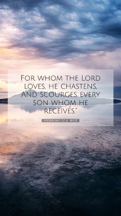 Picture 07 - Hebrews 12:6 WEB Mobile Phone Wallpaper - For whom the Lord loves, he chastens, And - Mobile Bible Verse Wallpaper