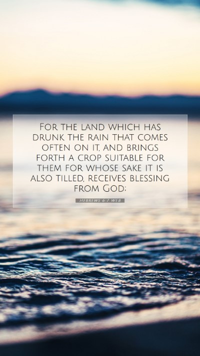 Picture 07 - Hebrews 6:7 WEB Mobile Phone Wallpaper - For the land which has drunk the rain that comes - Mobile Bible Verse Wallpaper
