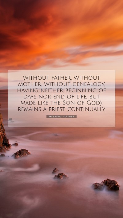Picture 07 - Hebrews 7:3 WEB Mobile Phone Wallpaper - without father, without mother, without - Mobile Bible Verse Wallpaper