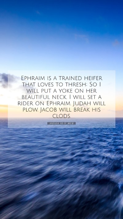 Picture 07 - Hosea 10:11 WEB Mobile Phone Wallpaper - Ephraim is a trained heifer that loves to thresh; - Mobile Bible Verse Wallpaper