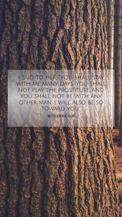 Picture 07 - Hosea 3:3 WEB Mobile Phone Wallpaper - I said to her, 