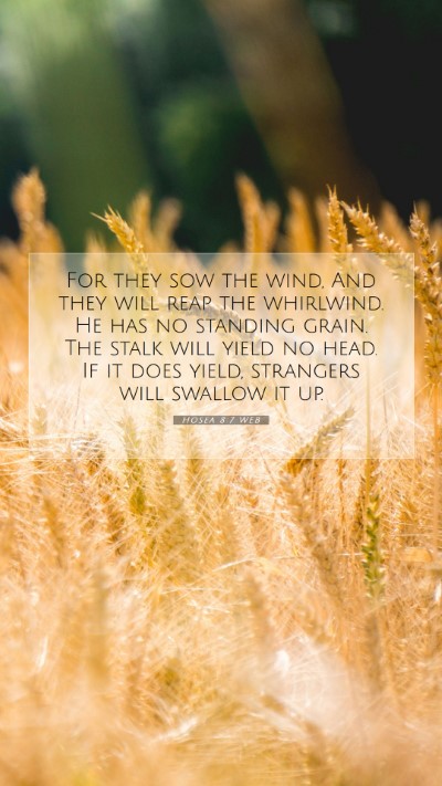 Picture 07 - Hosea 8:7 WEB Mobile Phone Wallpaper - For they sow the wind, And they will reap the - Mobile Bible Verse Wallpaper