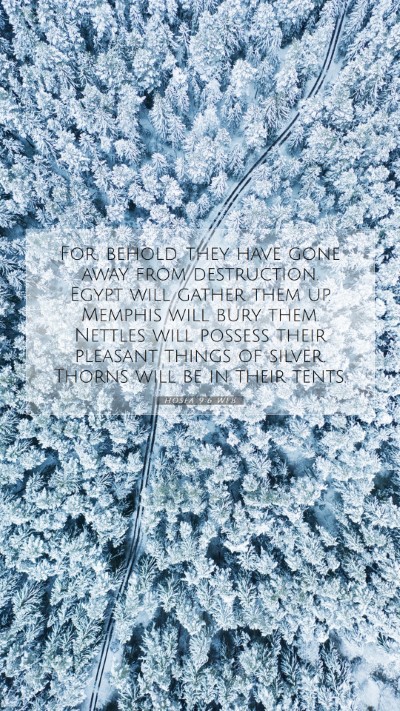 Picture 07 - Hosea 9:6 WEB Mobile Phone Wallpaper - For, behold, they have gone away from - Mobile Bible Verse Wallpaper